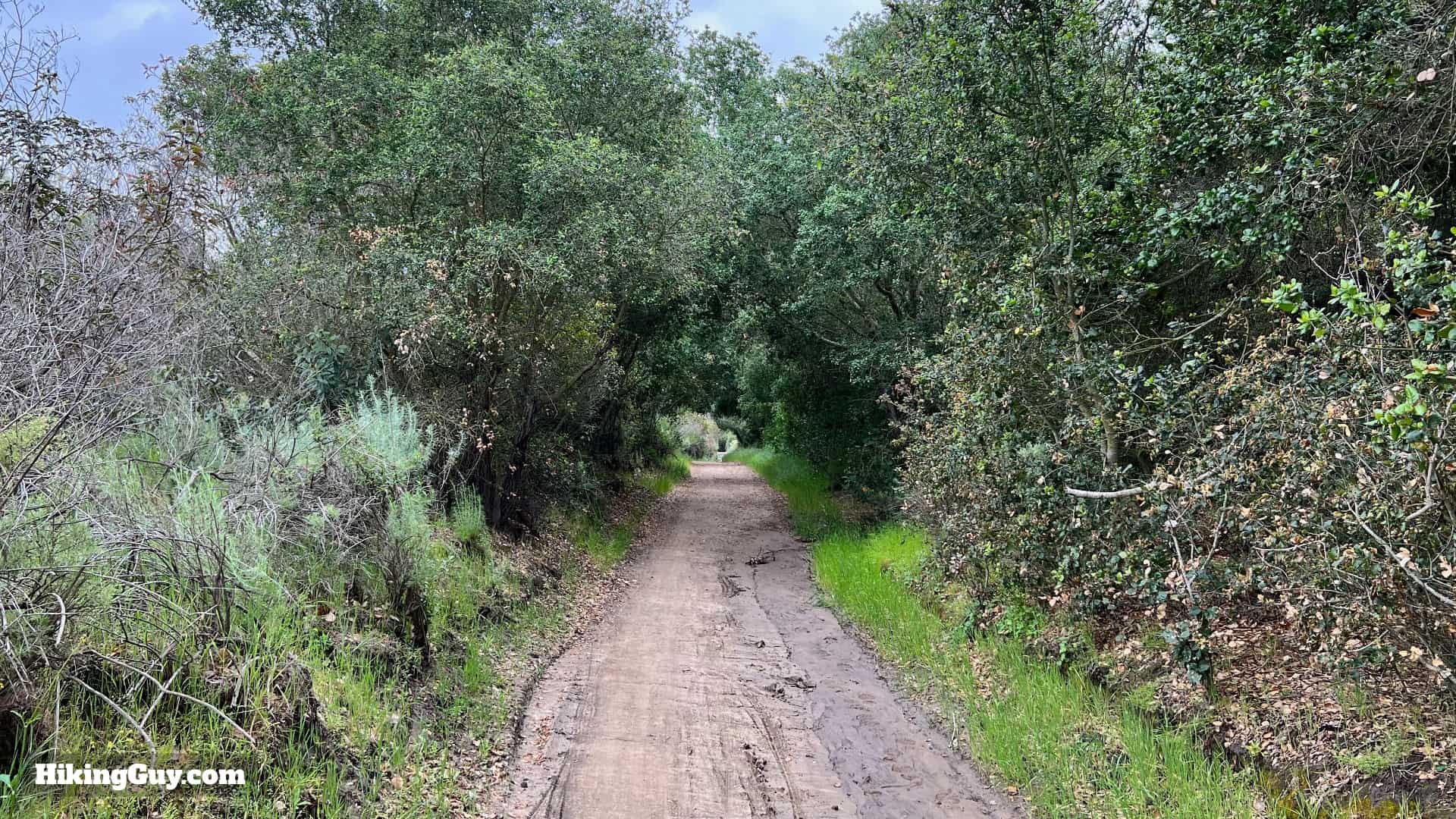 Laguna Coast Wilderness Hike Directions 27