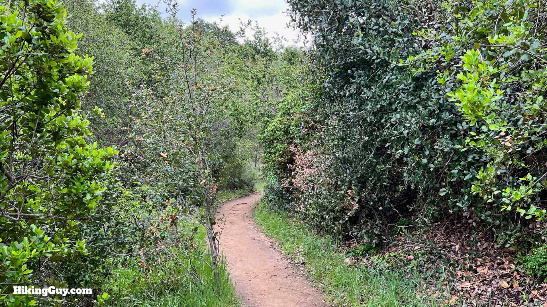 Laguna Coast Wilderness Hike Directions 29