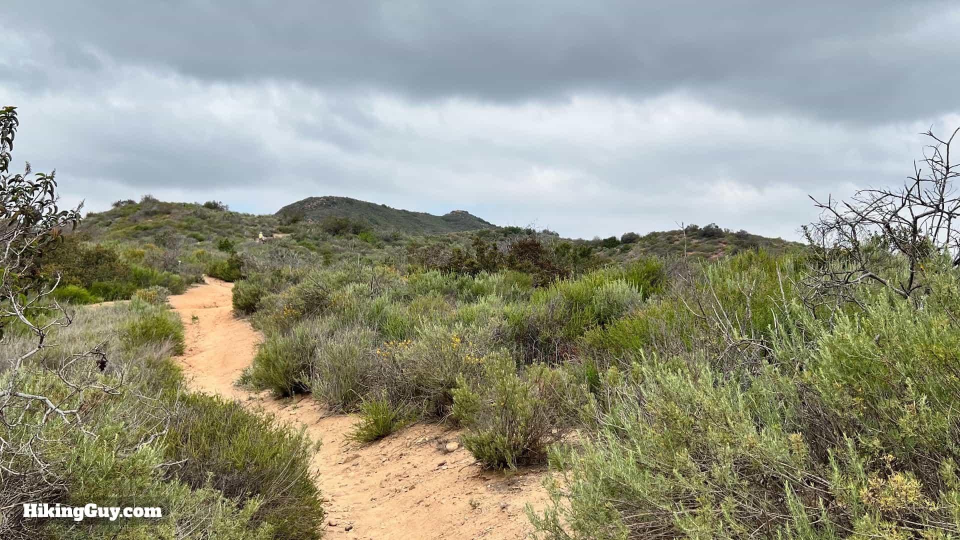 Laguna Coast Wilderness Hike Directions 43