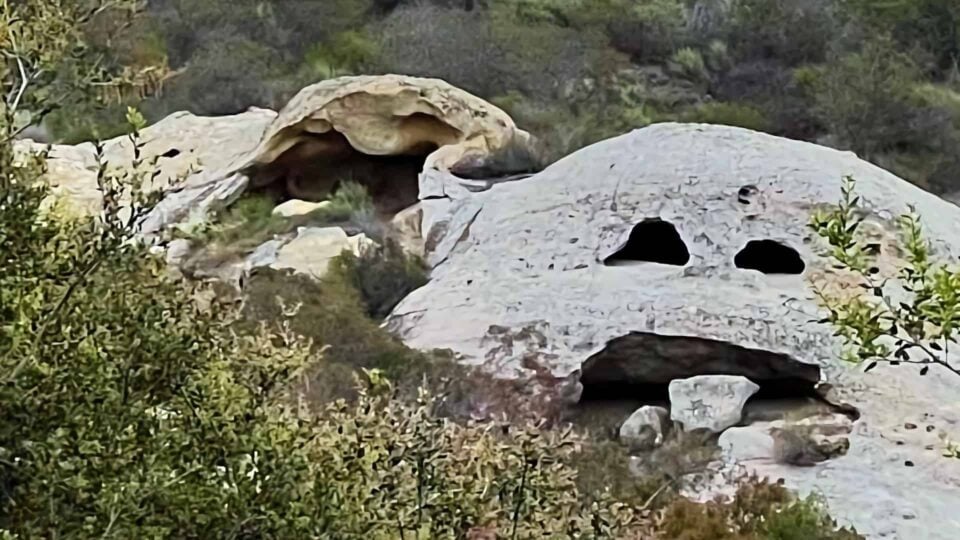 Laguna Coast Wilderness Park Featured