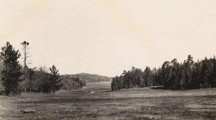 Laguna Meadows 1931