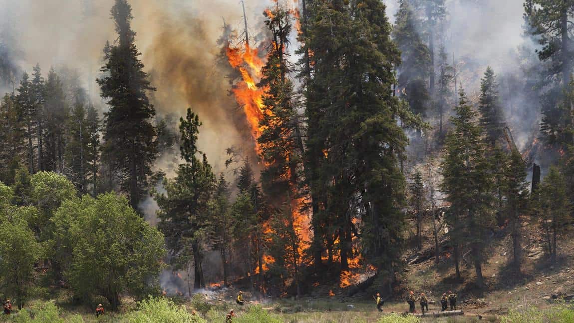 Lake Fire Aspen Grove