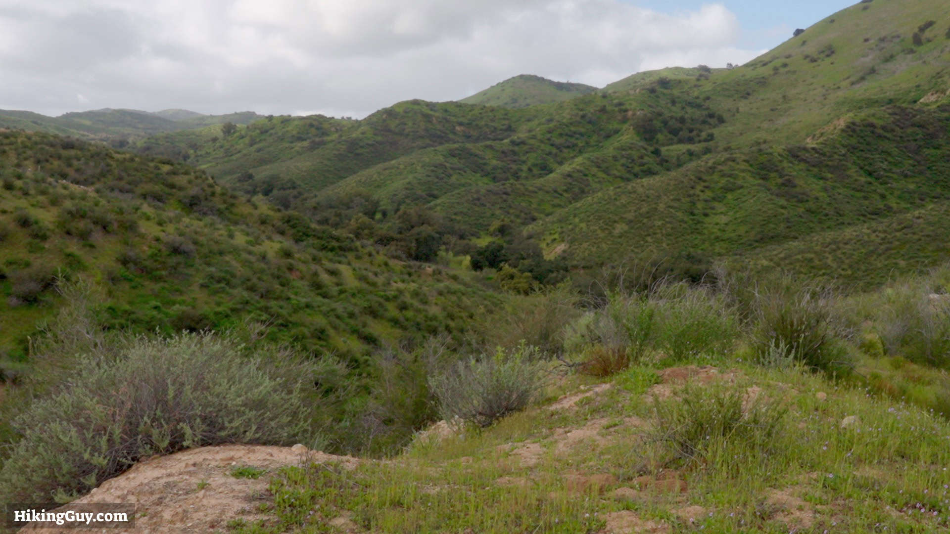 Limestone Canyon Rehab