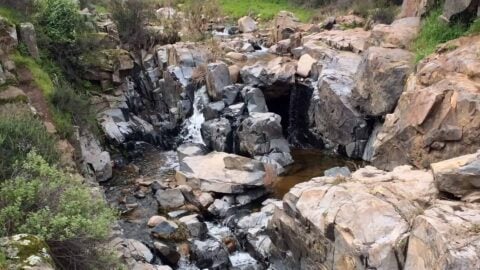 Los Penasquitos Canyon Trail Guide