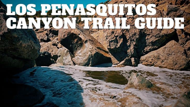 Los Penasquitos Canyon Trail Guide