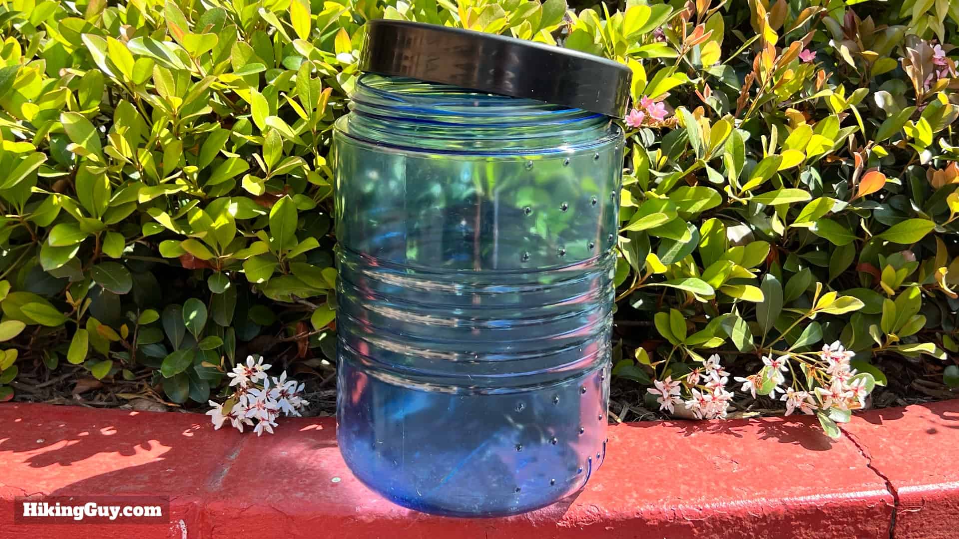 Lost Coast Bear Canister