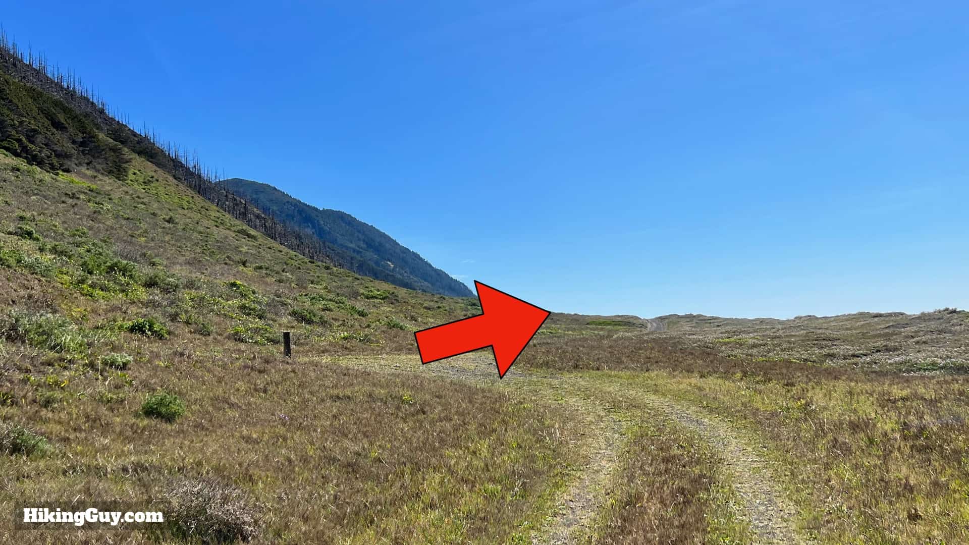 Lost Coast Trail Hike Directions 43