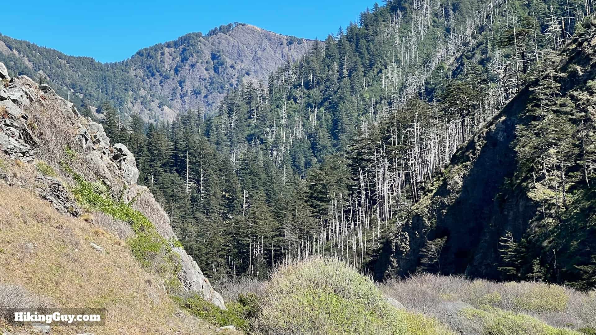 Lost Coast Trail Hike Directions 46