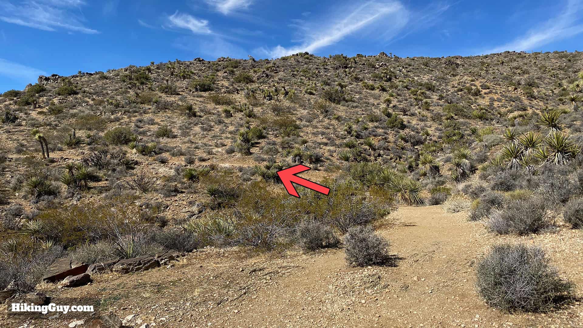 Lost Horse Mine Trail Directions 21