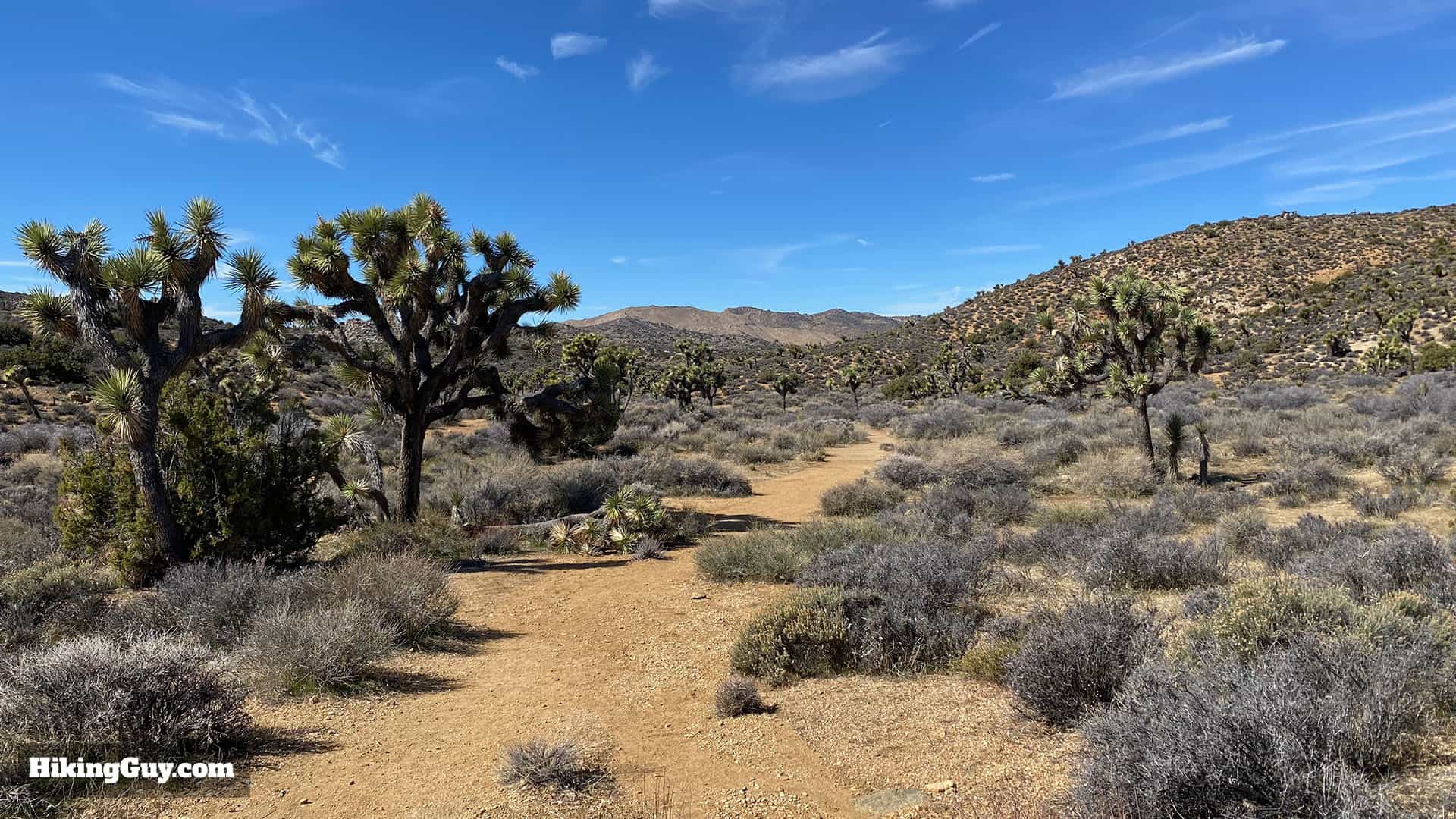 Lost Horse Mine Trail Directions 22