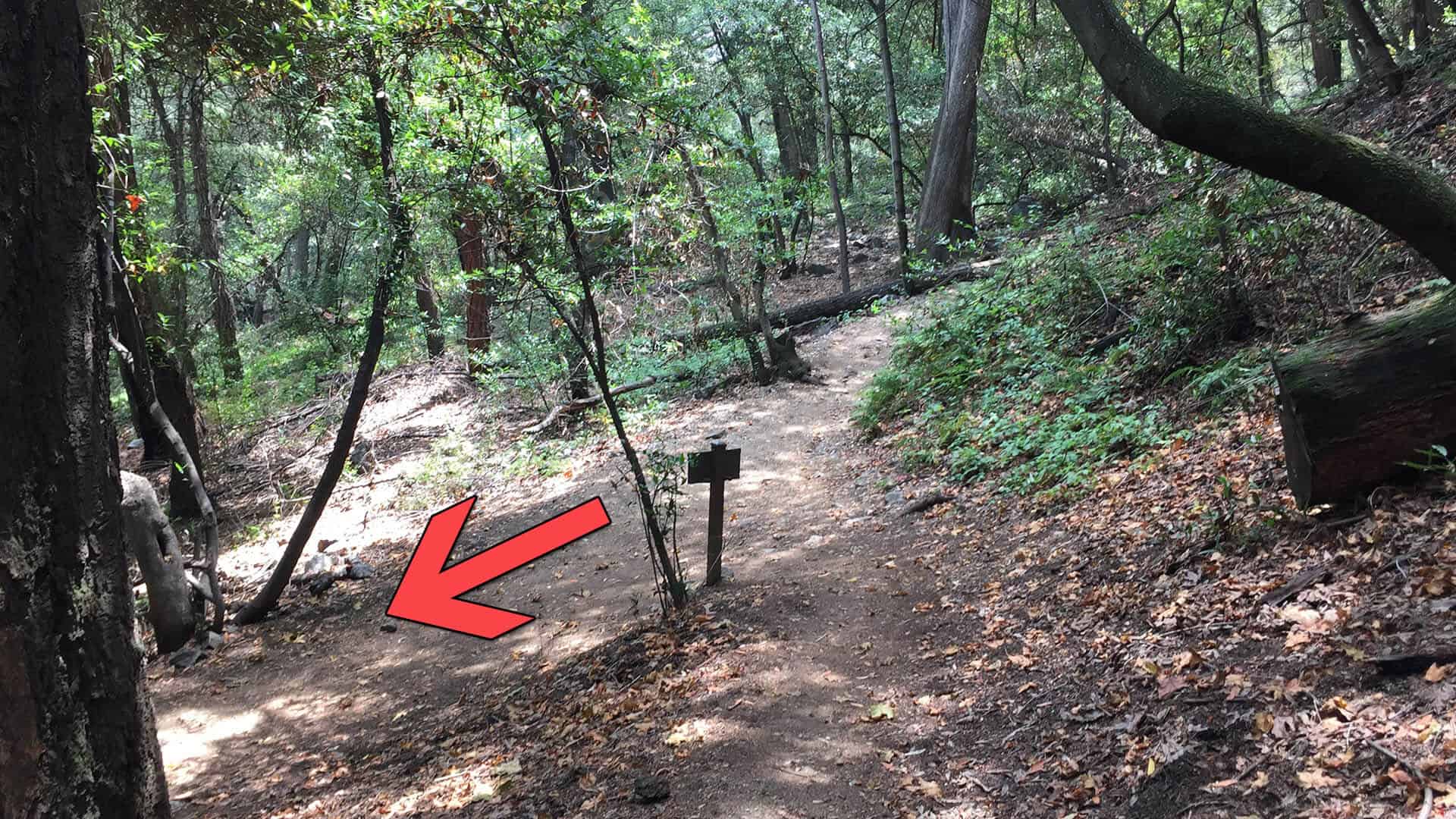 Lower Winter Creek Trail