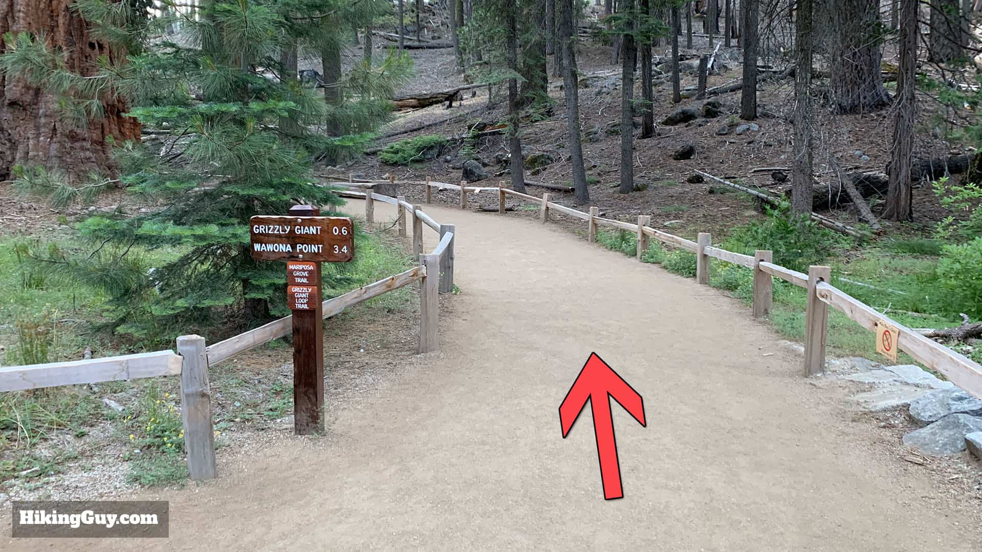 Mariposa Grove Trail 10