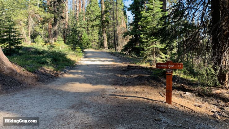 Mariposa Grove Trail 33