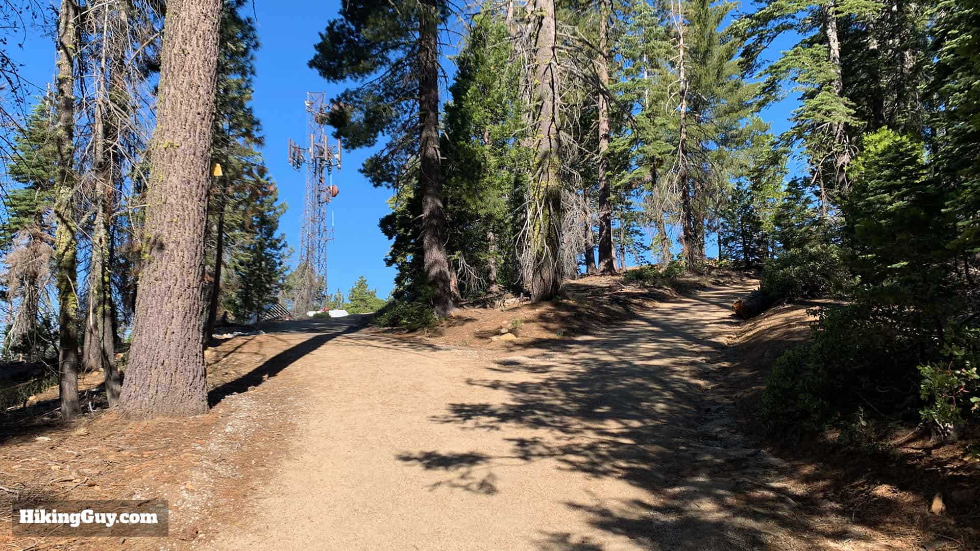 Mariposa Grove Trail 34