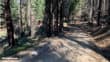 Mariposa Grove Trail 38