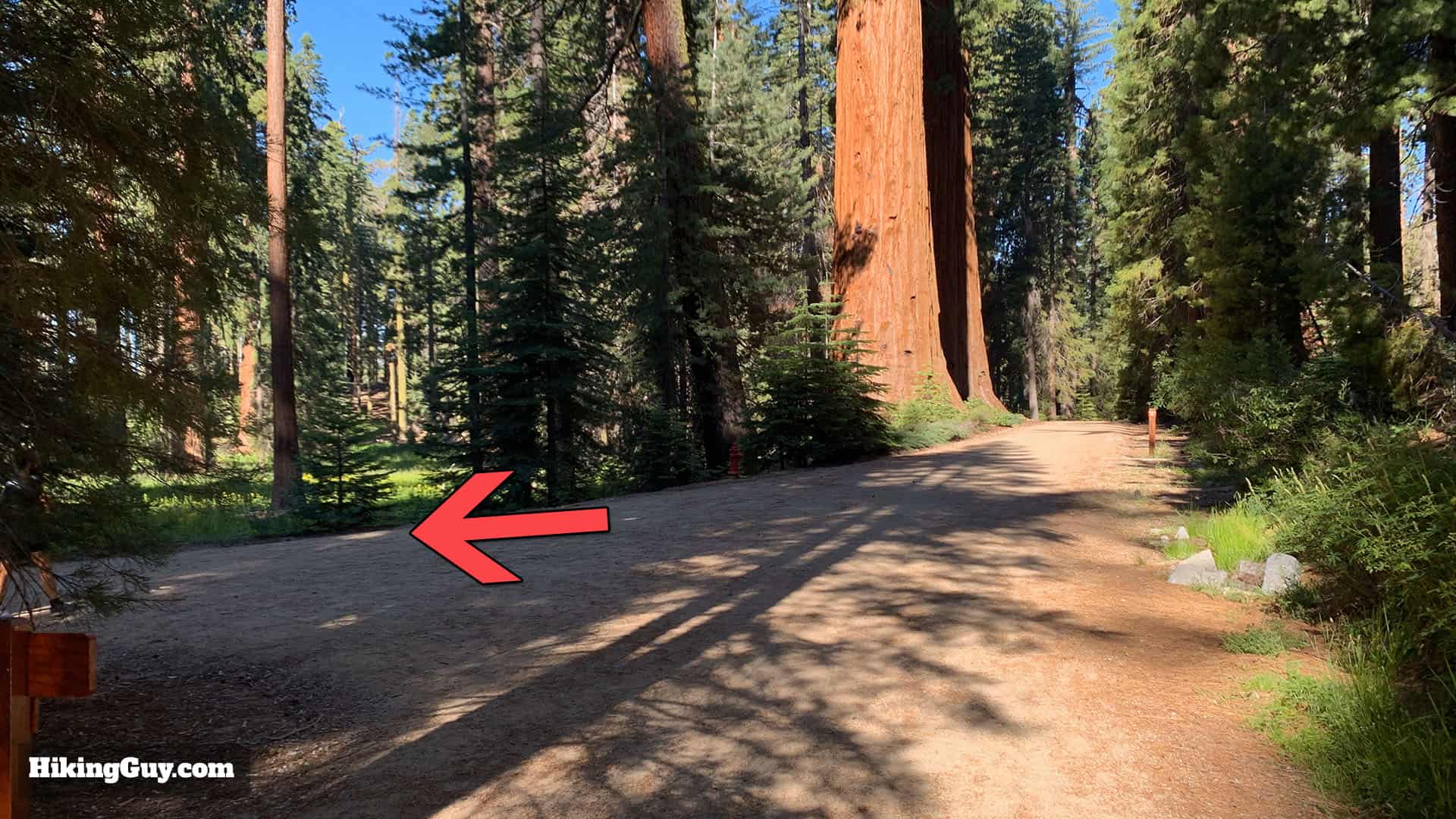 Mariposa Grove Trail 39