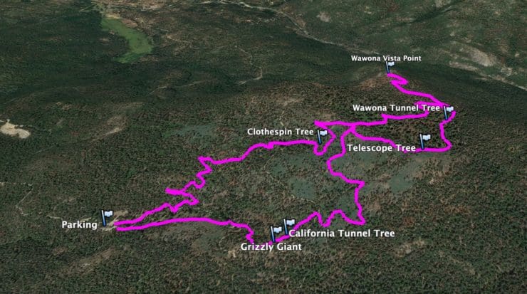 Mariposa Grove Trail 3d Map