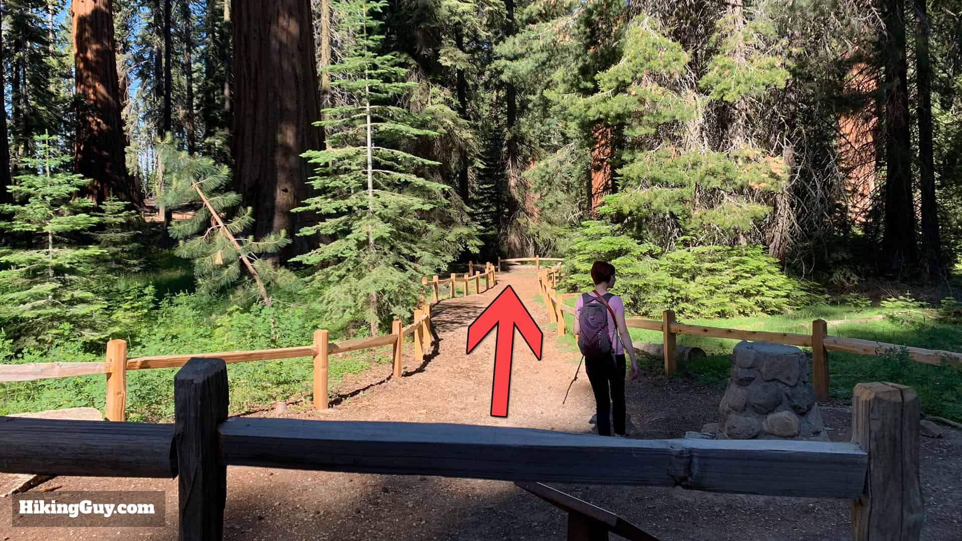 Mariposa Grove Trail 41