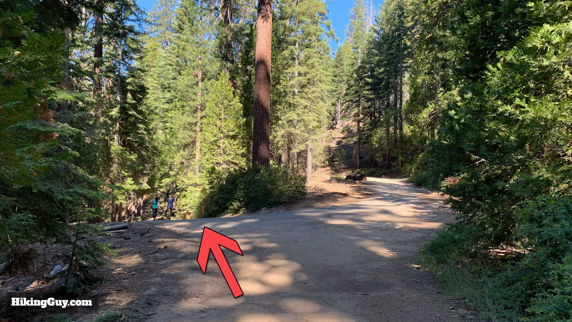 Mariposa Grove Trail 47