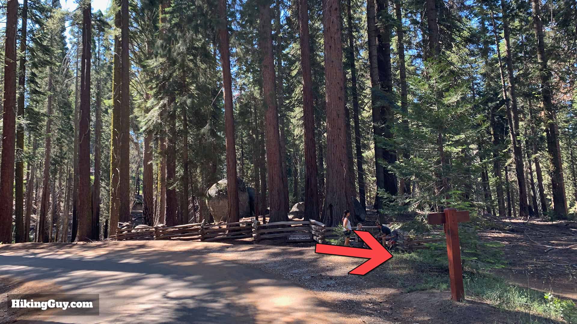 Mariposa Grove Trail 49