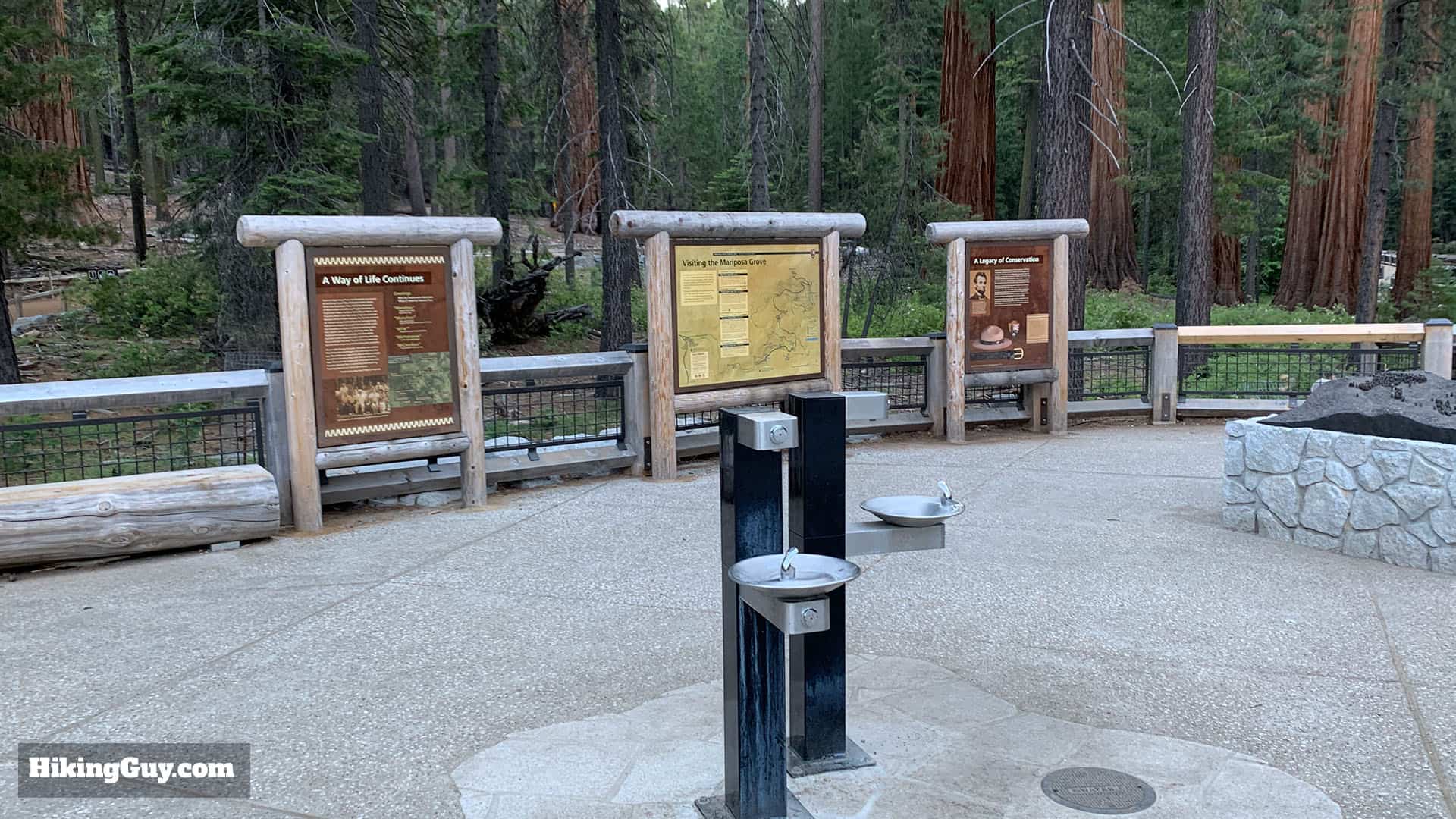 Mariposa Grove Trail 5