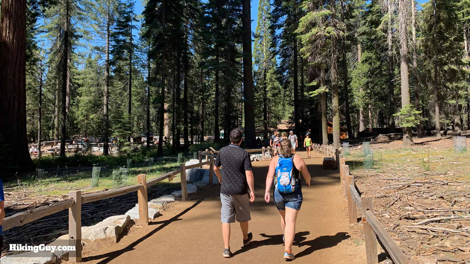 Mariposa Grove Trail 54