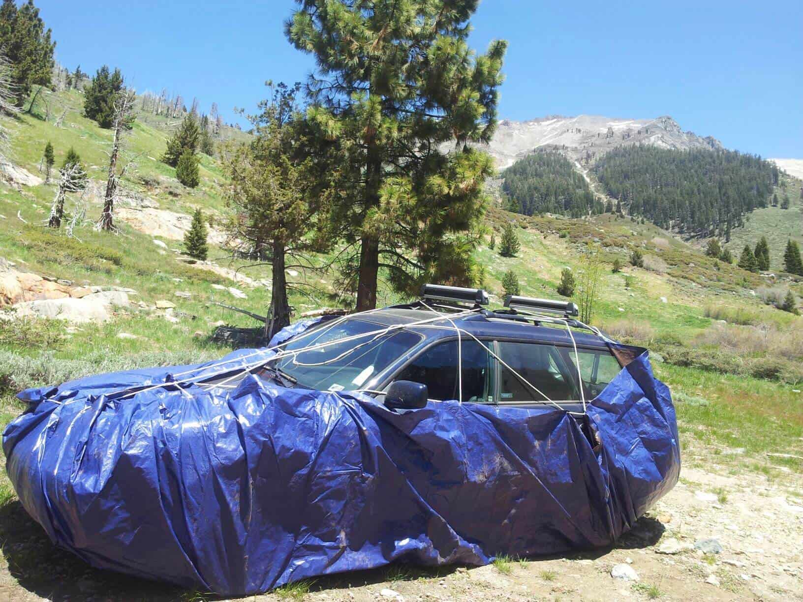 marmot proofed car