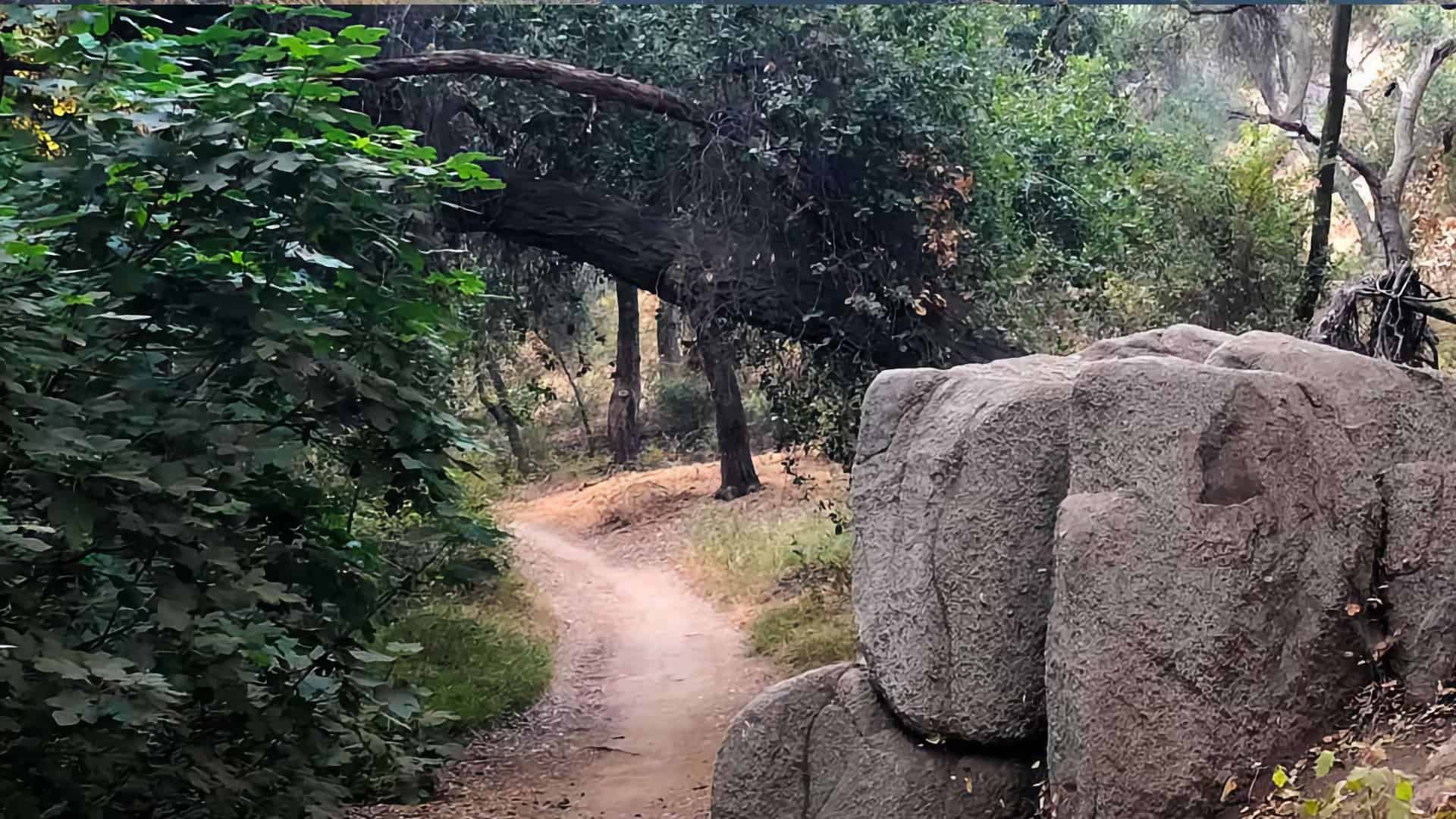 Marshall Canyon Trail