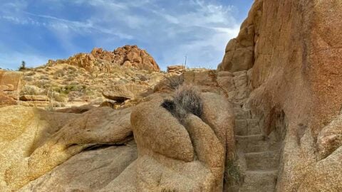 Hike Mastodon Peak Trail