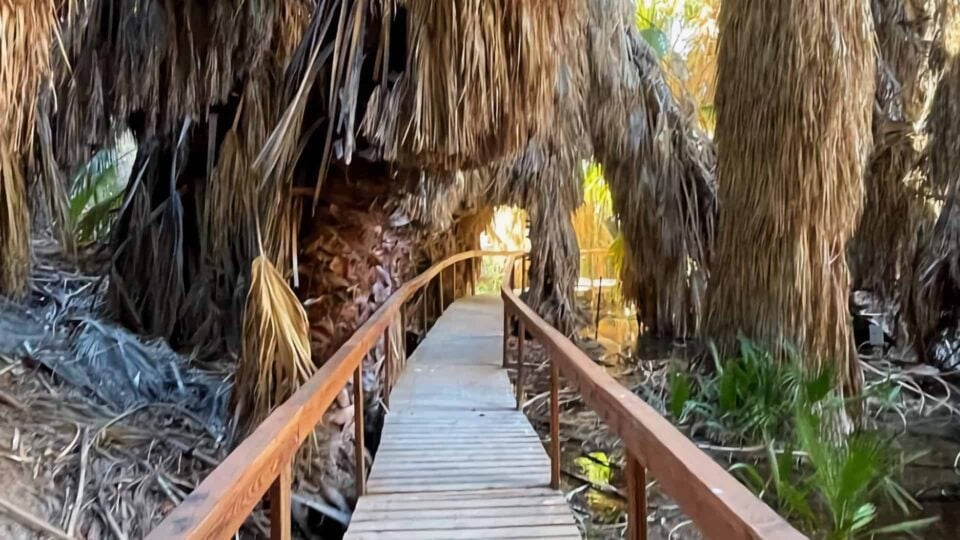 Mccallum Trail Featured