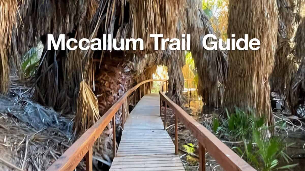 McCallum Trail Hike Guide