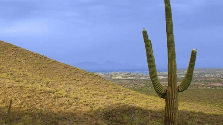 Mcdowell Sonoran Preserve Hike Featured