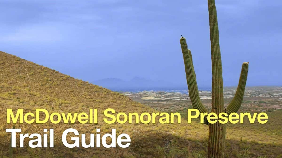 McDowell Sonoran Preserve Hike