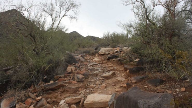 McDowell Sonoran Preserve Hike trail