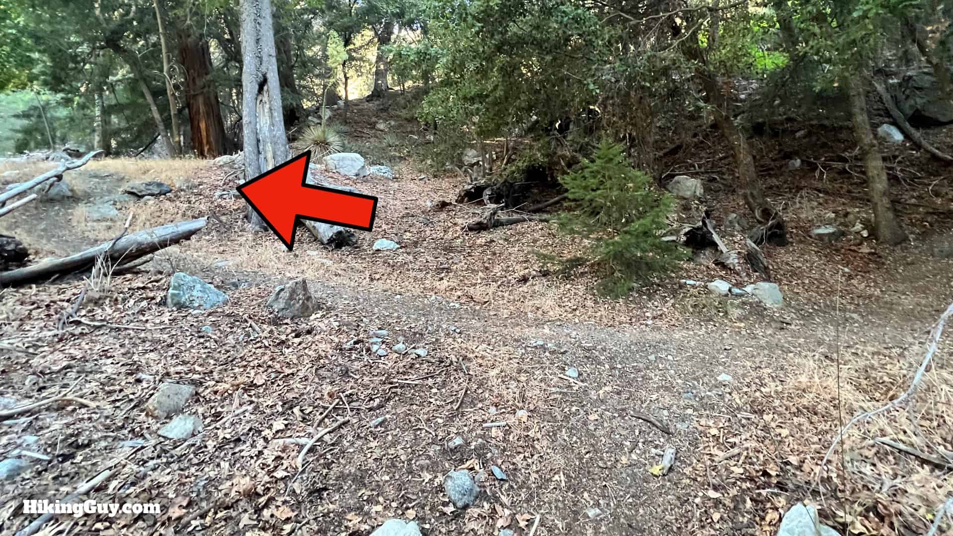 Middle Fork Trail Lytle Creek Directions 30