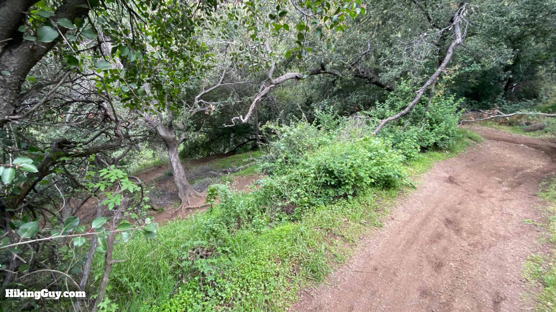 Millard Canyon Falls Trail 11