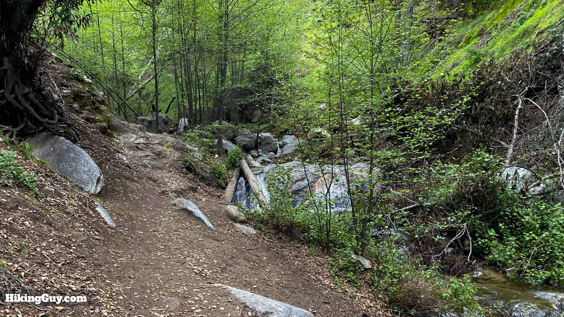 Millard Canyon Falls Trail 19