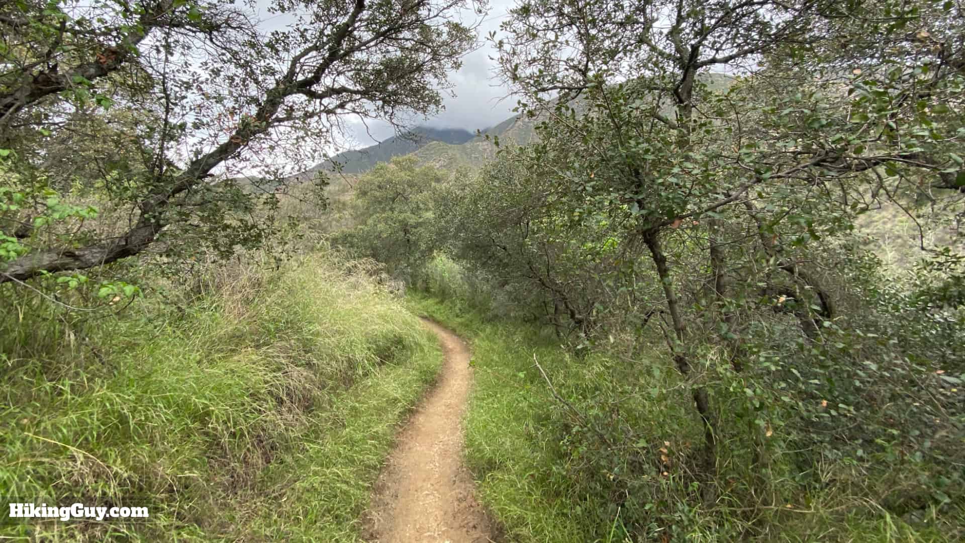 Millard Canyon Falls Trail 9