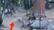 Mist Trail Yosemite Directions 27