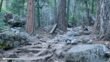 Mist Trail Yosemite Directions 36
