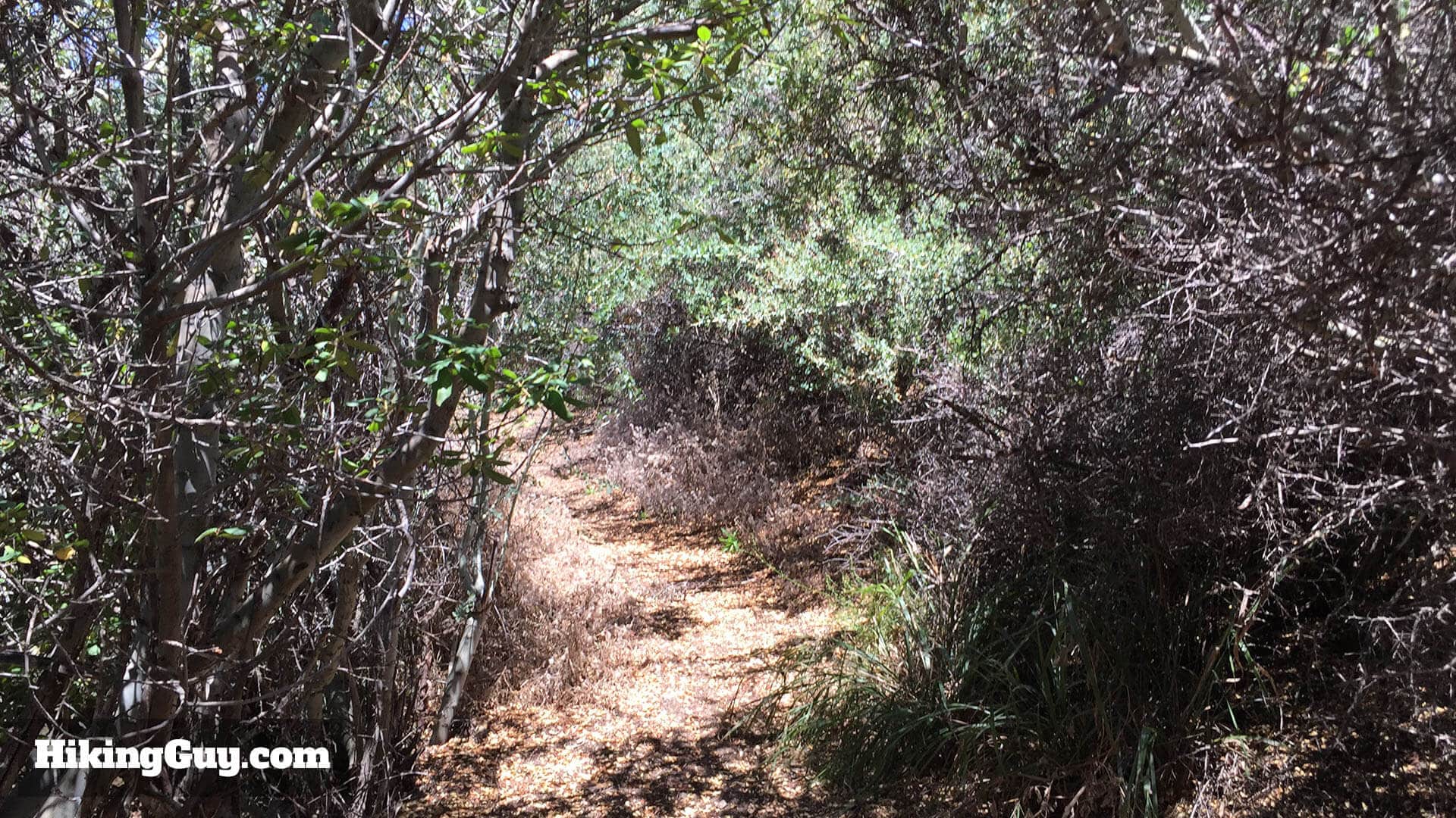 Modjeska Peak Hike trail