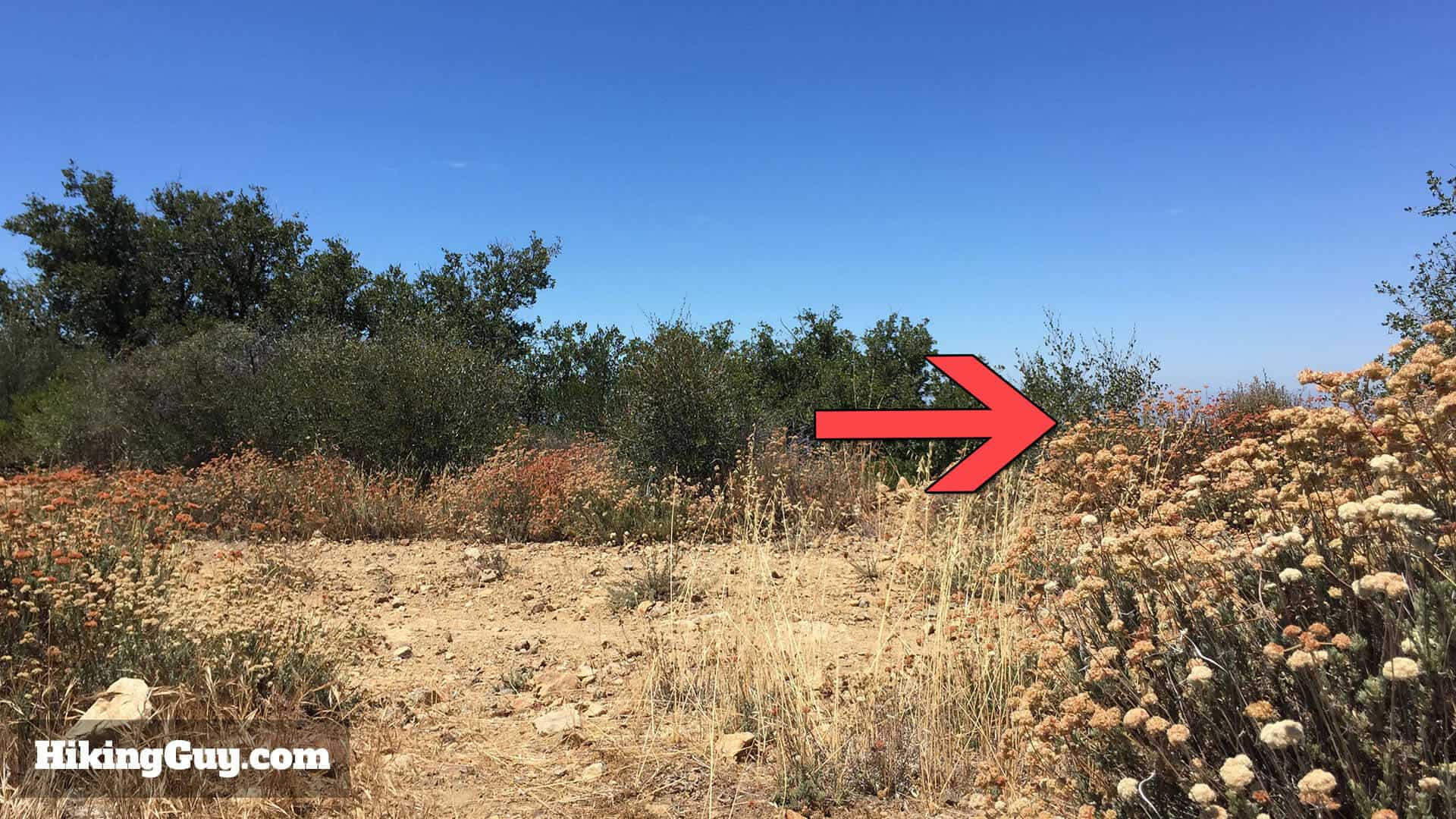 Modjeska Peak Hike trail 