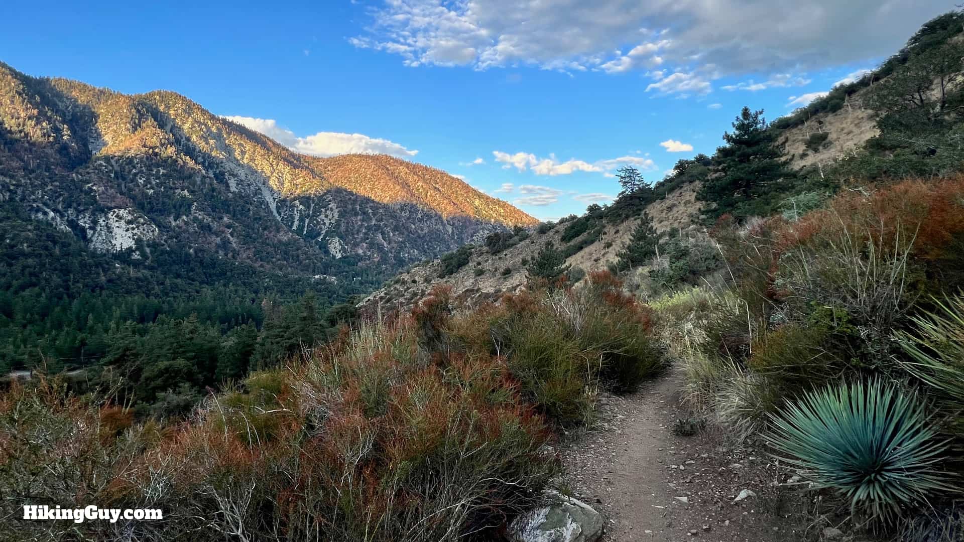 Momyer Creek Trail To Dobbs Cabin 11