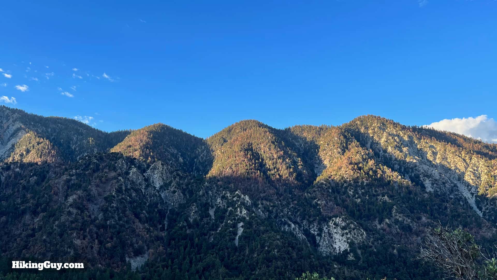 Momyer Creek Trail To Dobbs Cabin 12