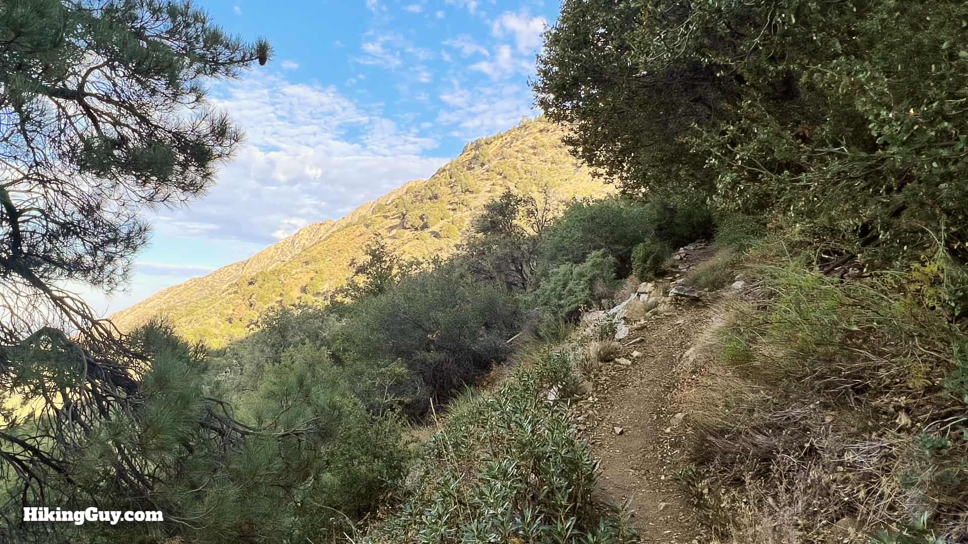 Momyer Creek Trail To Dobbs Cabin 17