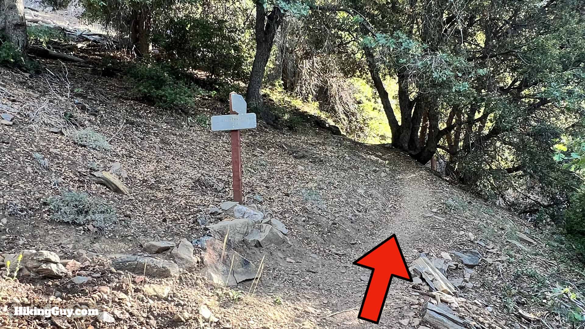 Momyer Creek Trail To Dobbs Cabin 19