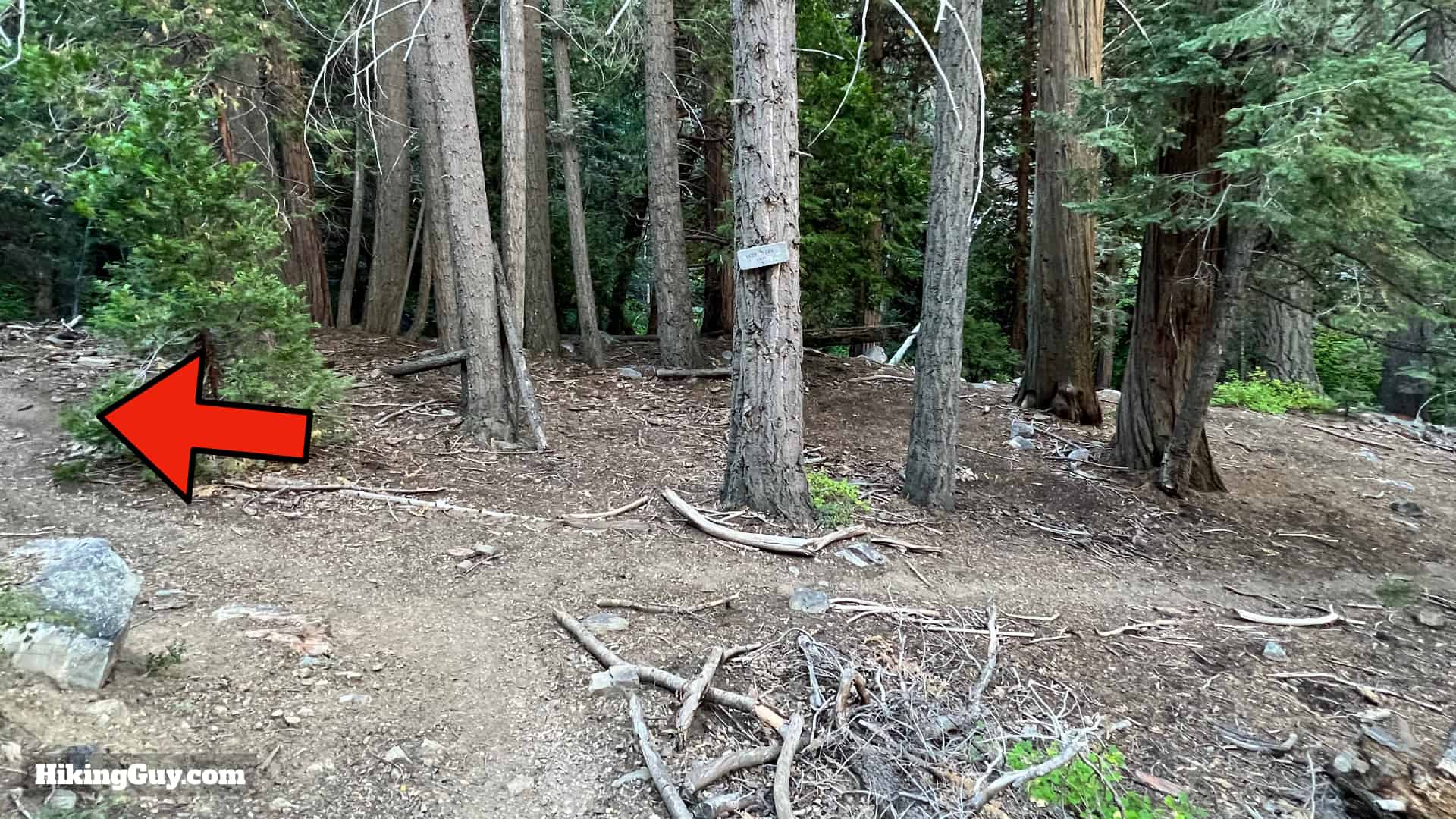 Momyer Creek Trail To Dobbs Cabin 26