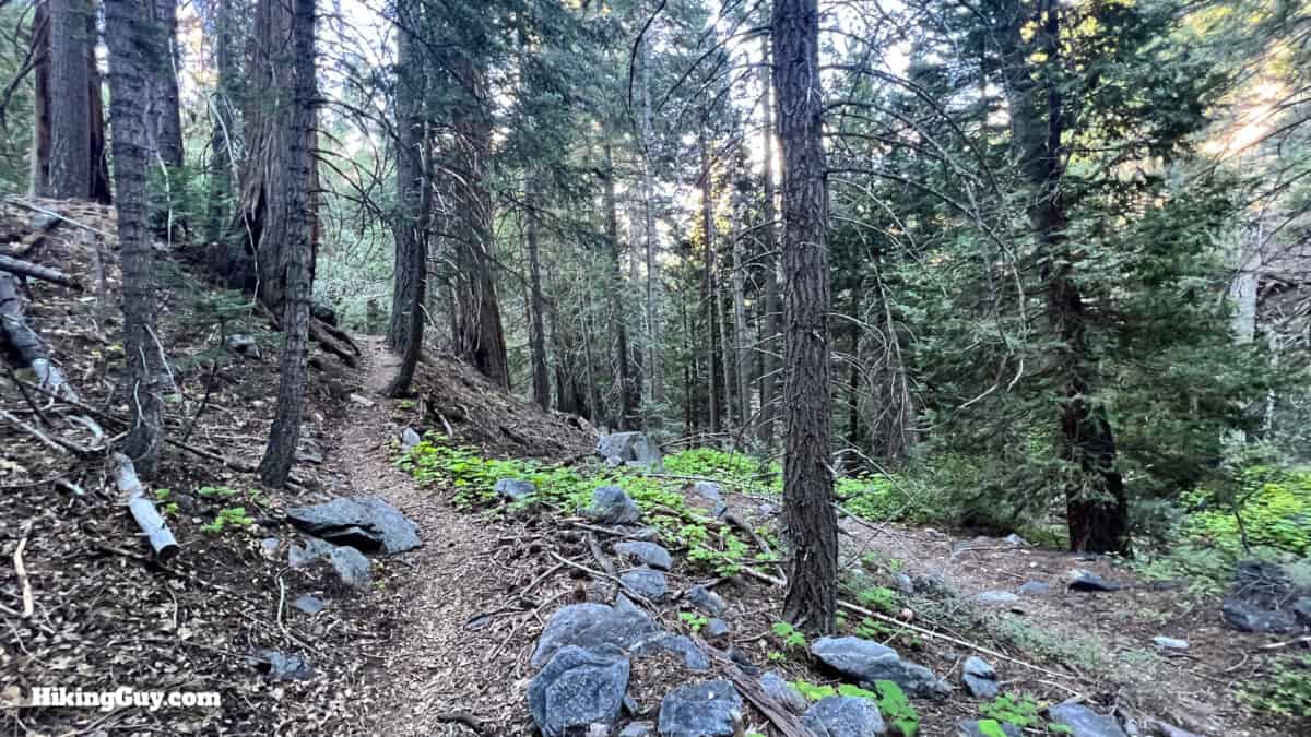 Momyer Creek Trail To Dobbs Cabin 30