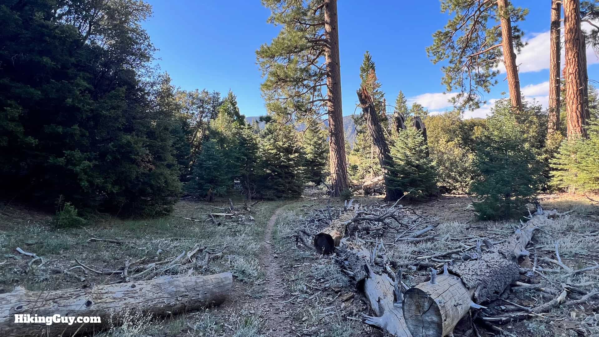 Momyer Creek Trail To Dobbs Cabin 32