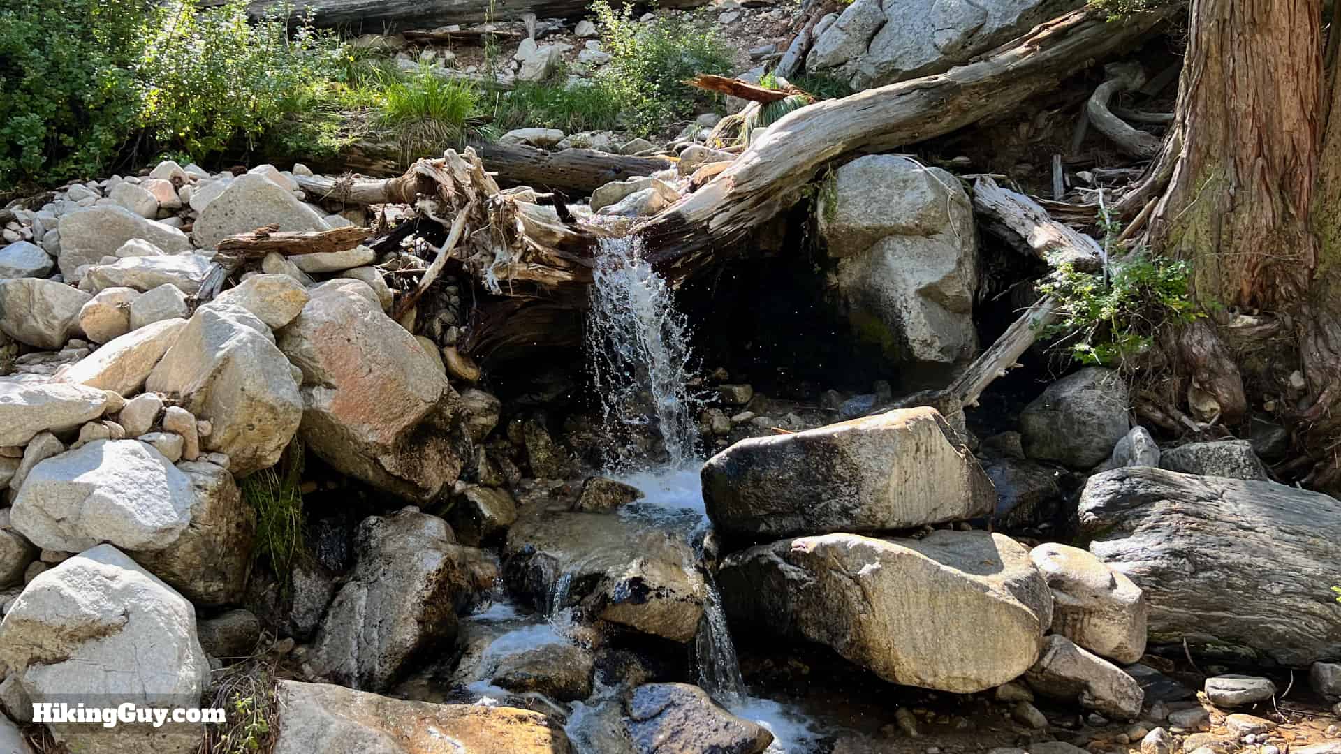 Momyer Creek Trail To Dobbs Cabin 39